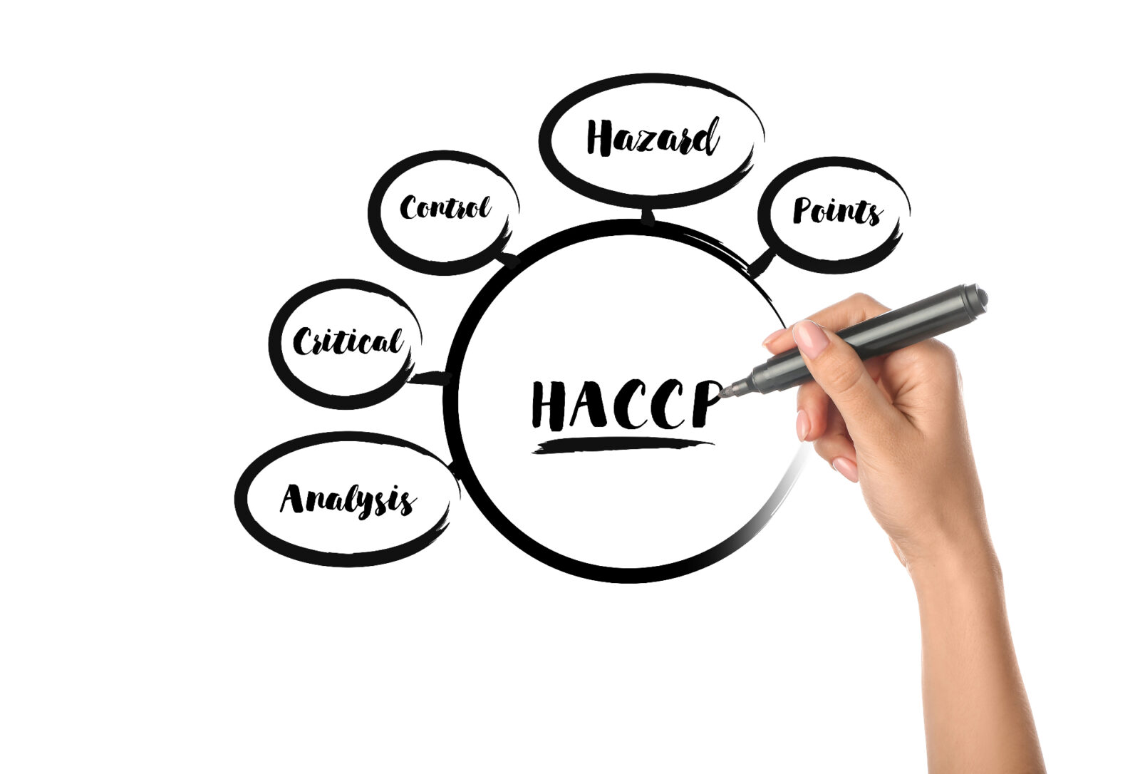 Sistem haccp za zdravje ljudi